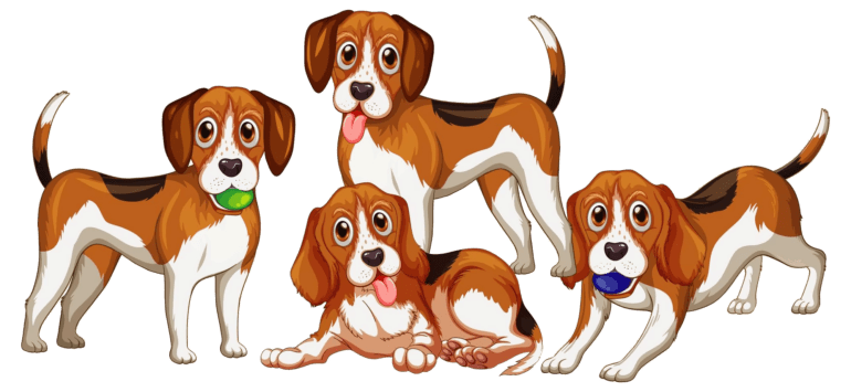 group beagle