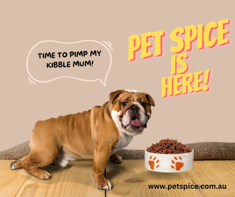 Pet Food Meal Toppers Spark Your Pet's Taste Buds with Pet Spice! The Flavourful, All-Natural Topper for Happy Mealtimes