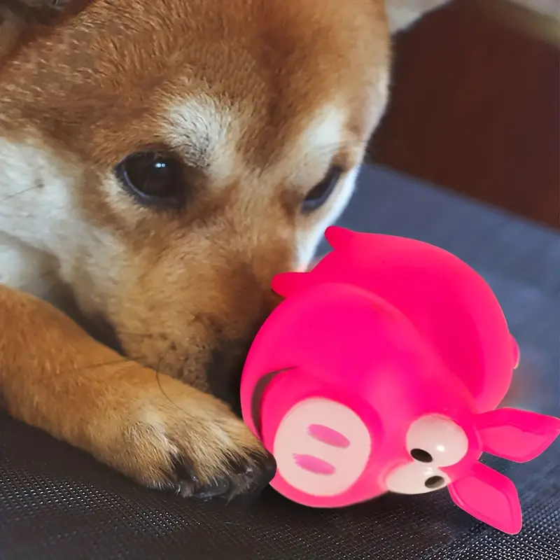 Bark with Buster's Squeaky Fun: The Pig Chew Toy Your Dog Will Oink About!