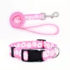 Dog Collar and Leash Set