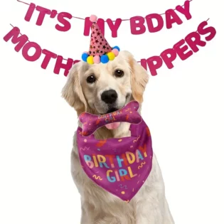 Dog Birthday Bandana Toy Set - Pawtastic Party Time: Celebrate Your Pup's Birthday with Bark with Buster! 