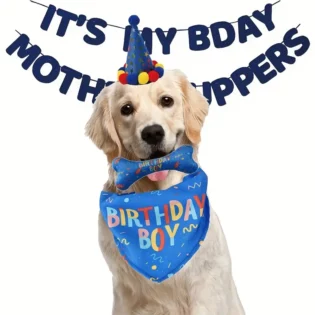 Dog Birthday Bandana Toy Set - Pawtastic Party Time: Celebrate Your Pup's Birthday with Bark with Buster! 