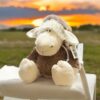 Hoodie Sheep Dog Toy