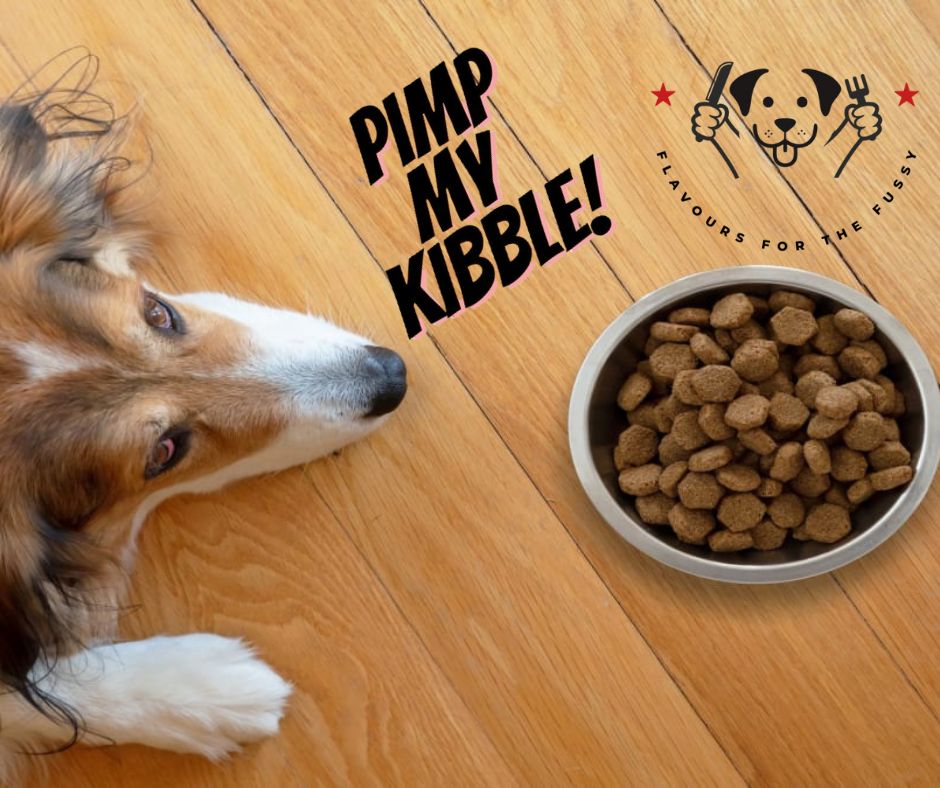 The Mystery of the Finicky Eater: How Meal Toppers Saved My Sanity and My Dog’s Dinner