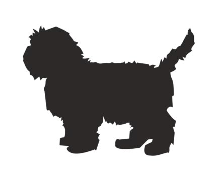 Medium Dog Dog Treats-bark-with-buster