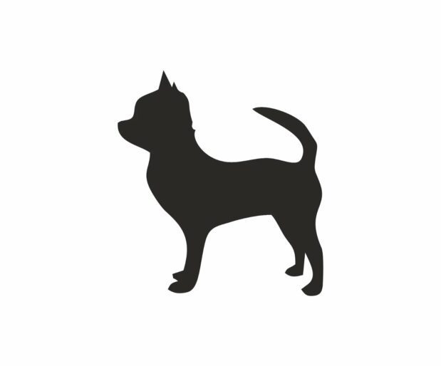 Small Dog Treats-bark-with-buster