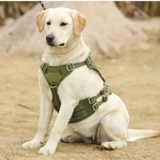 Bark with Buster Goes Beyond Dog Treats. Tough Tactical Dog Harness - Get Ready to Ruff It Out with Your Paw-some Mate