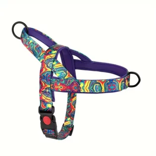 Adjustable Padded Dog Harness, No-Choke Dog