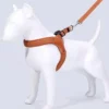 Dog Harness Y-Shaped