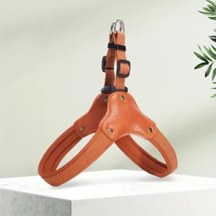 Dog Harness Y-Shaped tan bark with buster