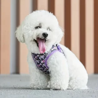 Purple Floral Reflective Adjustable Dog Harness with Matching Leash Dog