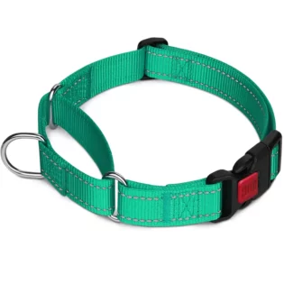 Martingale Dog Collar Emerald- Bark-with-Buster