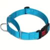 Martingale Dog Collar Sky Blue - Bark-with-Buster